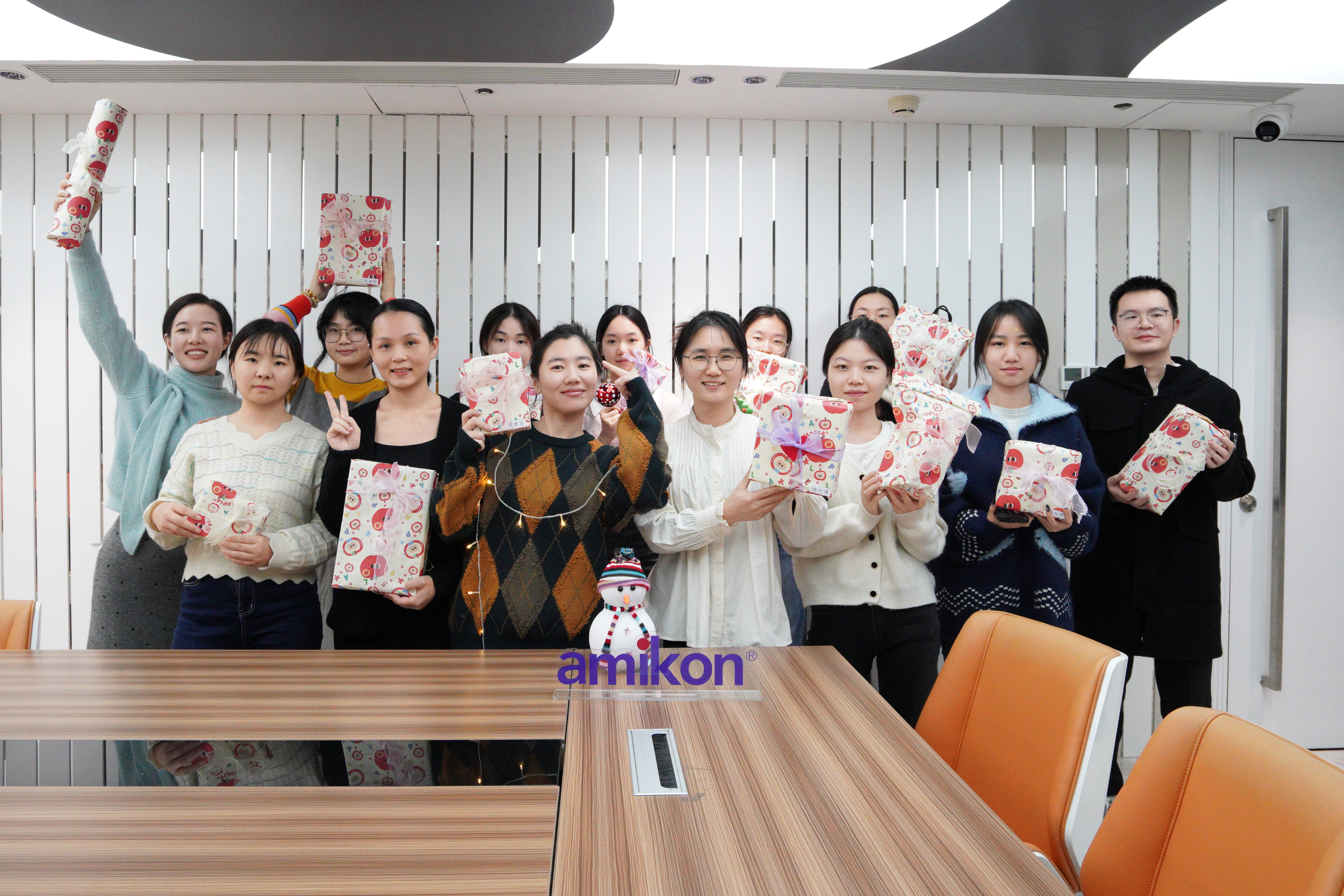 AMIKON team