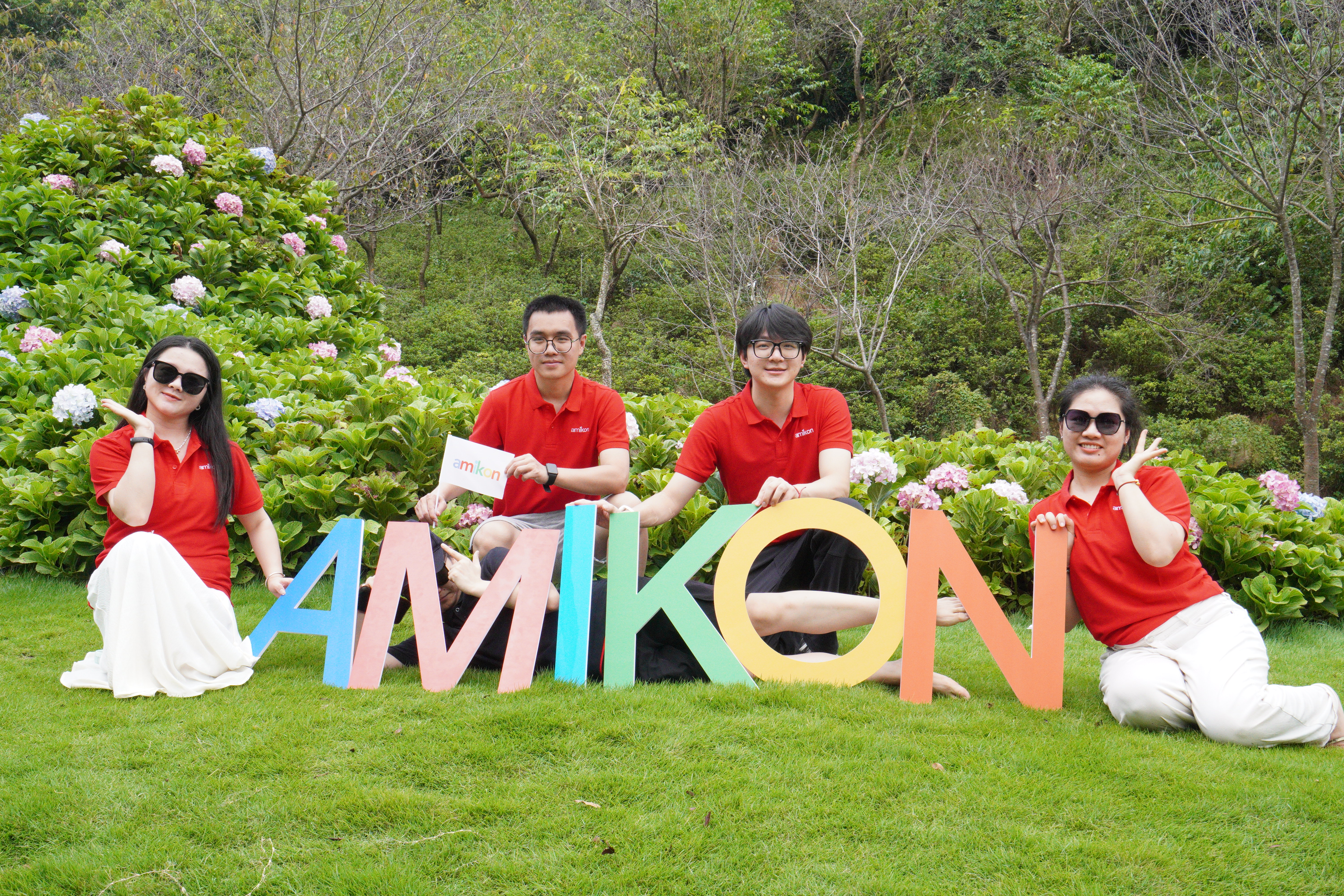 AMIKON team