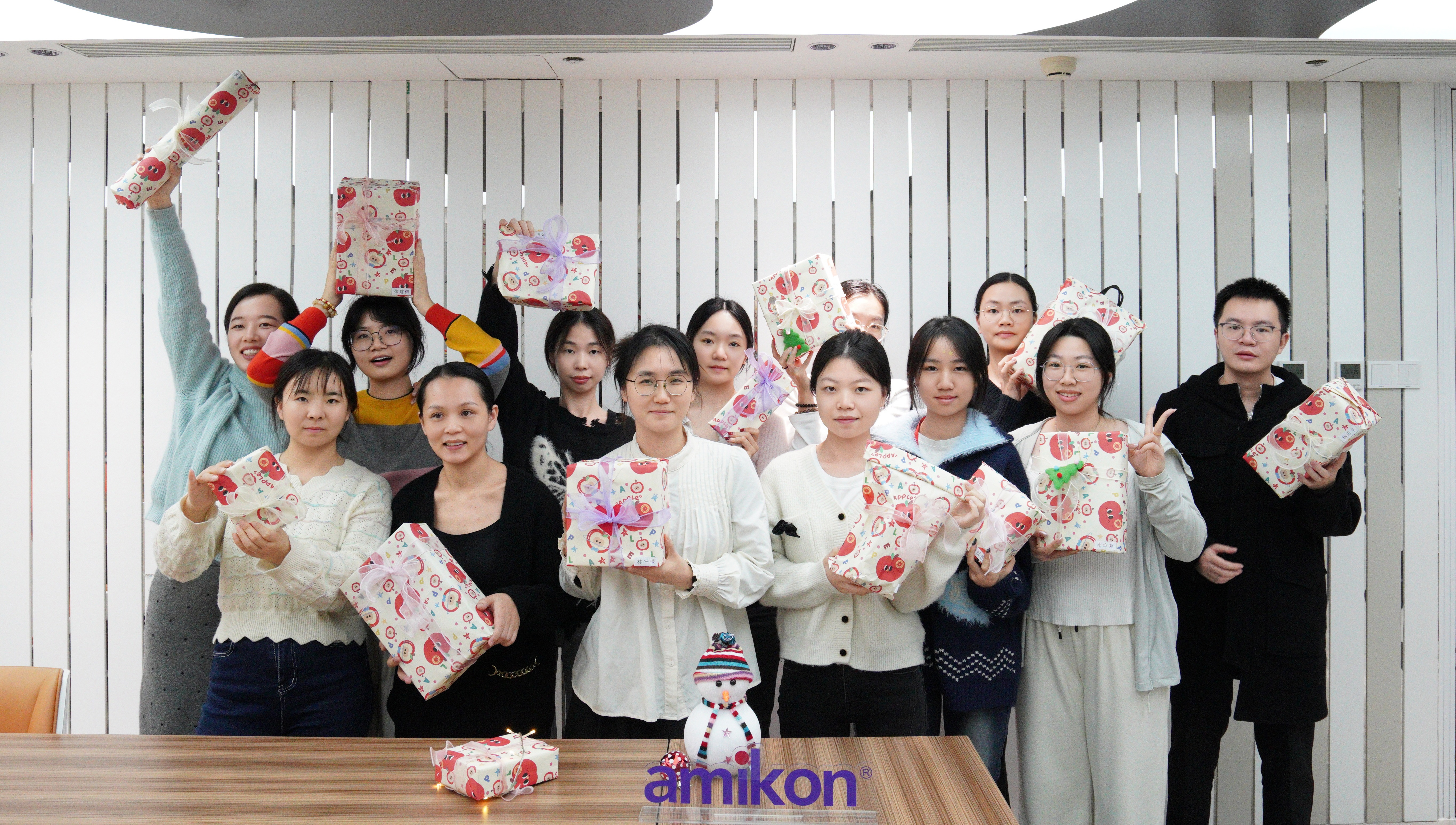 AMIKON team