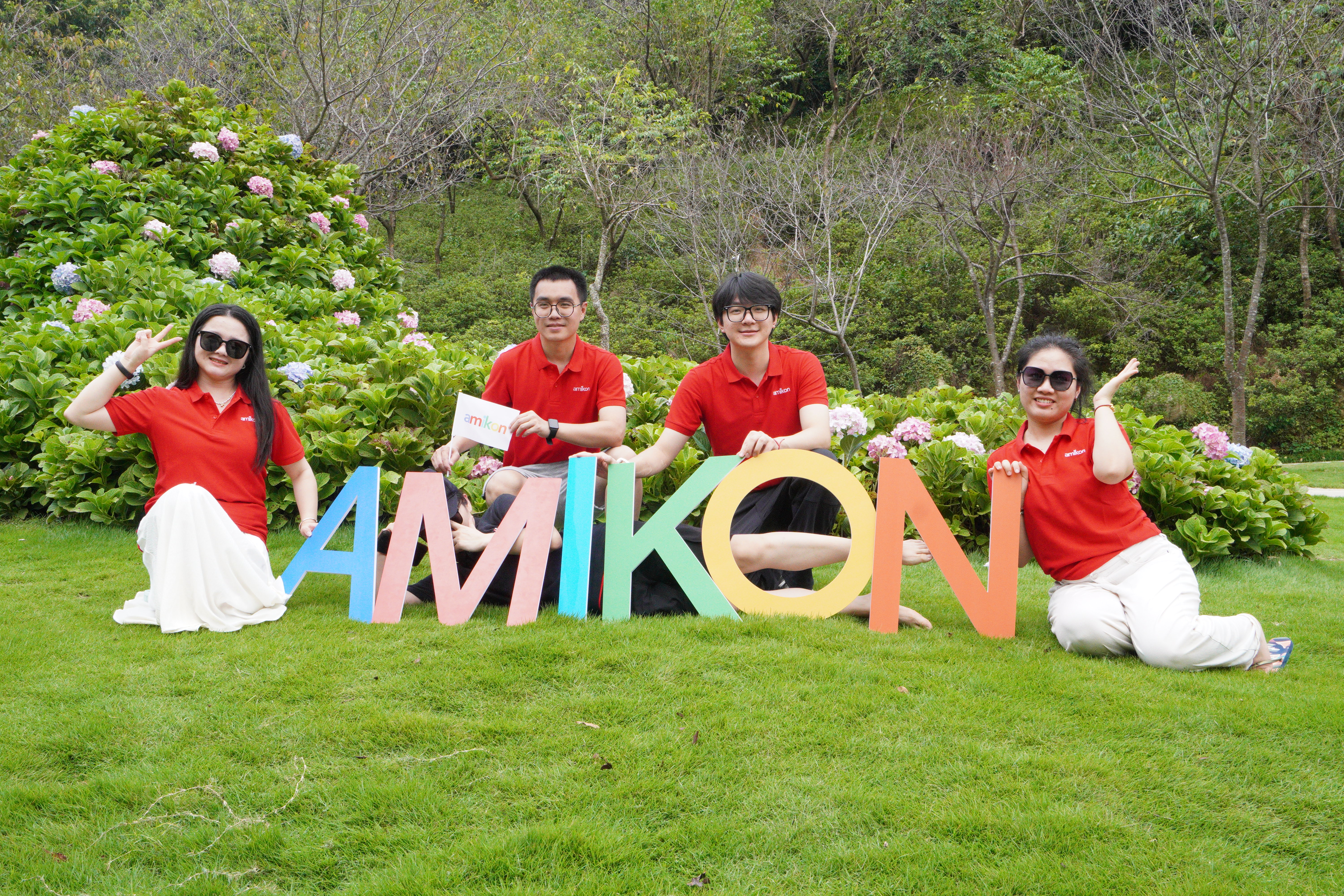 AMIKON team
