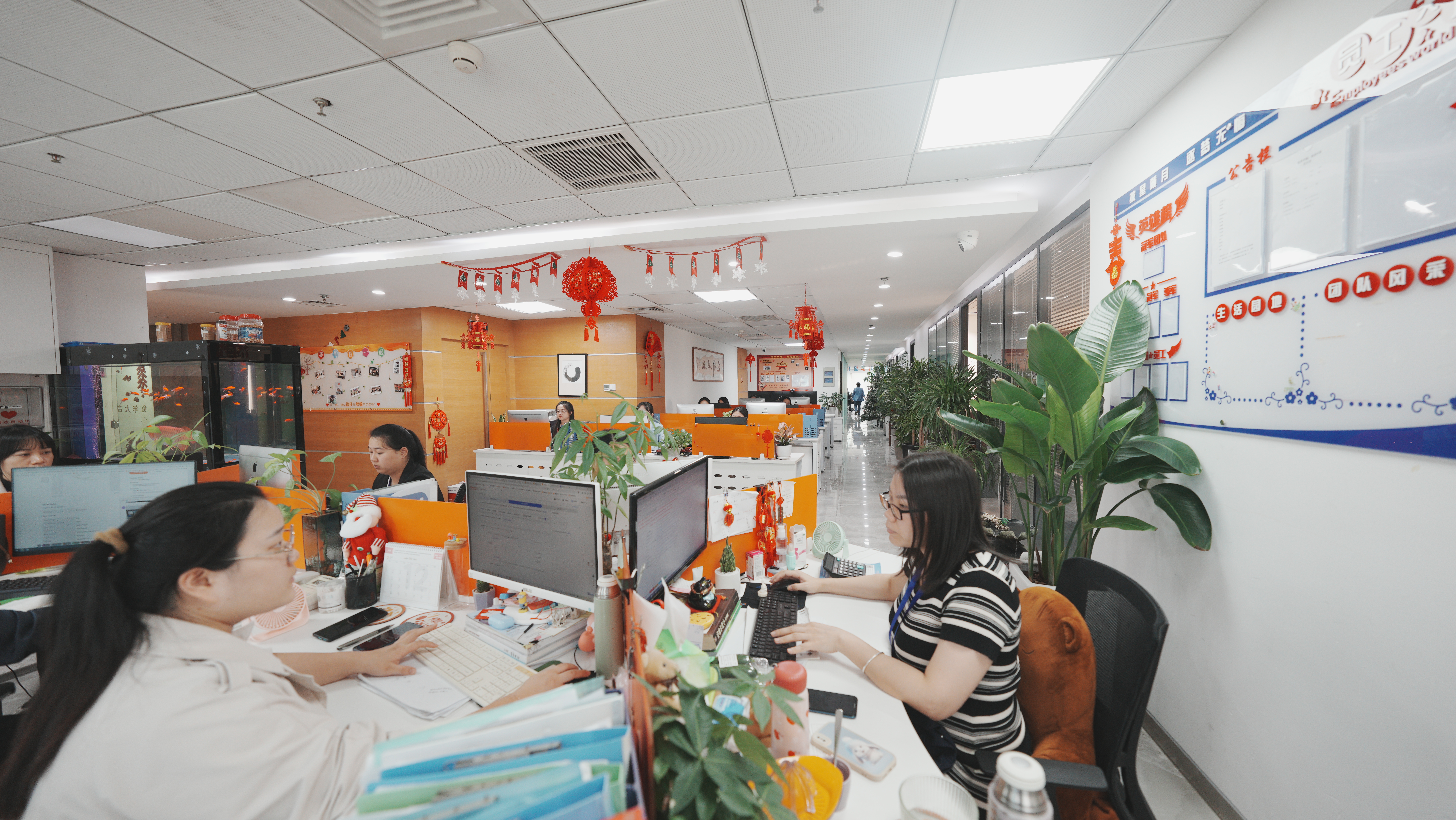 Amikon industrial automation