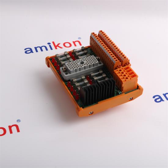  TRICONEX  9662-810