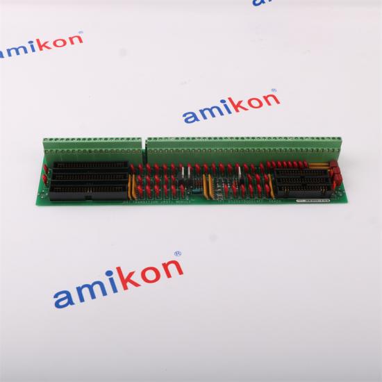 GENERAL ELECTRIC DS200TBQDG1AFF