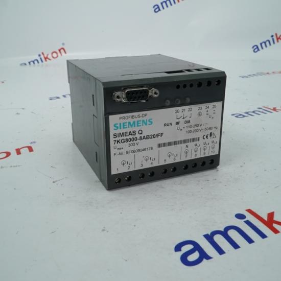 SIEMENS 7KG8000-8AB20/FF