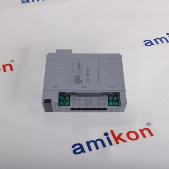 YOKOGAWA AAI141-S00 S2