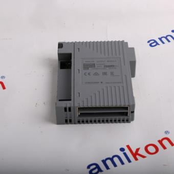 YOKOGAWA AAI543-S53 S1
