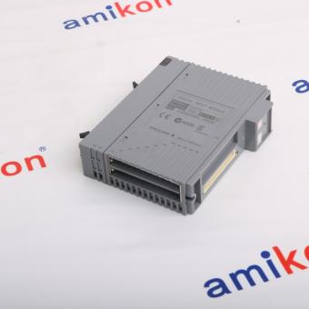 YOKOGAWA ADV161-P50 S2