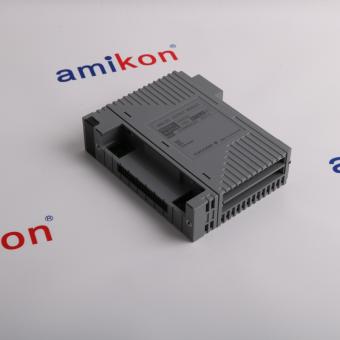 YOKOGAWA AAI543-H53 S1