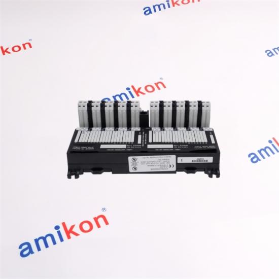 GENERAL ELECTRIC IC670CHS002