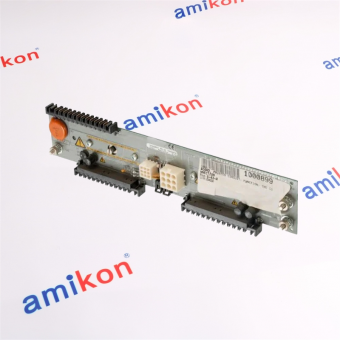 EMERSON 1P00028G01