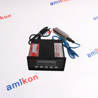 Panametrics MTS5-331-10