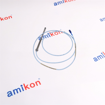 Bently Nevada 330101-30-10-02-05