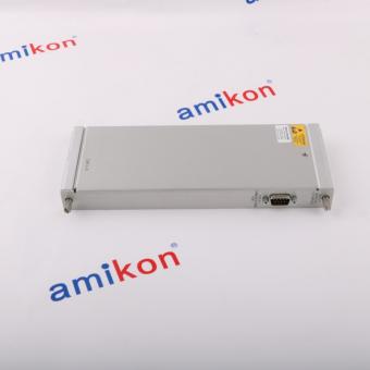 Bently Nevada 134819-01