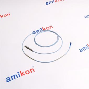 Bently Nevada 330101-00-25-05-01-05