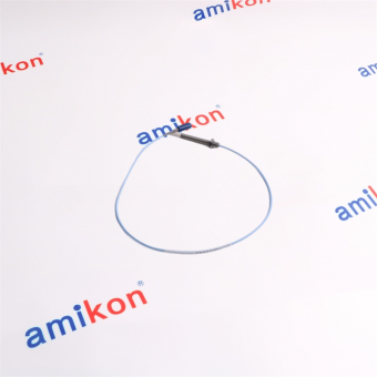 Bently Nevada 330903-17-19-05-02-00