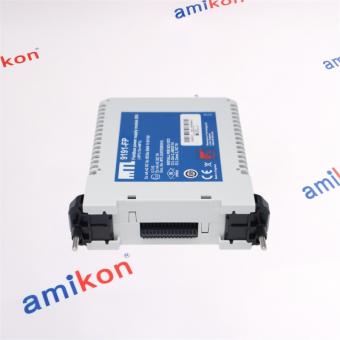 EMERSON 9191-FP
