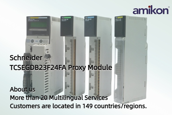 What Makes the Schneider TCSEGDB23F24FA Different?
