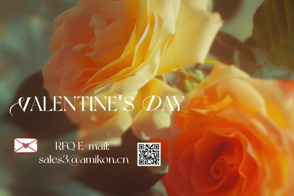 Together with Warmth, Grateful for You – A Special Valentine’s Day Tribute
